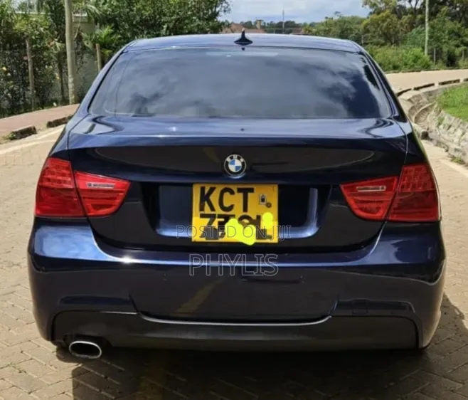 BMW 318i 2011 Blue