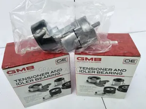 Tensioner and Idler Bearing Hyundai IX35 Petrol