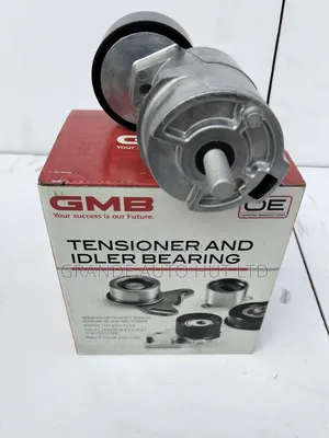 Tensioner and Idler Bearing Hyundai IX35 Petrol