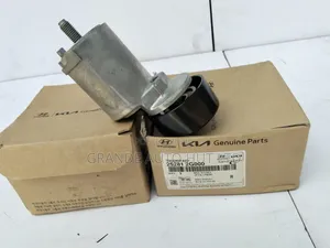 Fan Belt Tensioner Hyundai Santafe 2012 (Genuine)