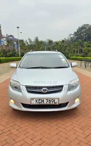 Toyota Corolla Fielder 2010 Silver