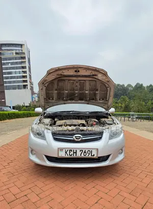Toyota Corolla Fielder 2010 Silver