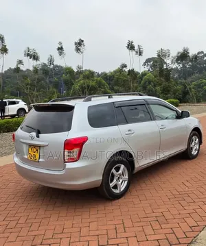 Toyota Corolla Fielder 2010 Silver