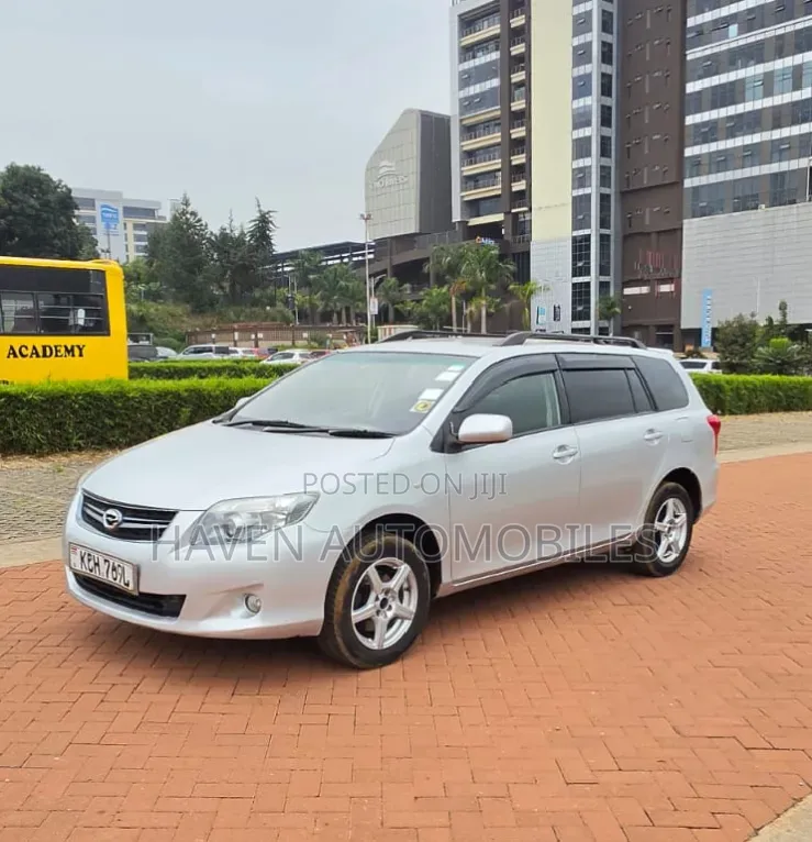 Toyota Corolla Fielder 2010 Silver
