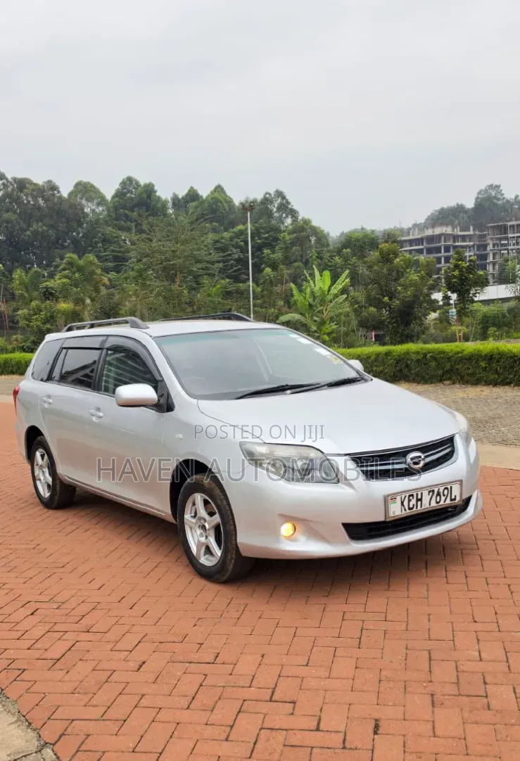 Toyota Corolla Fielder 2010 Silver