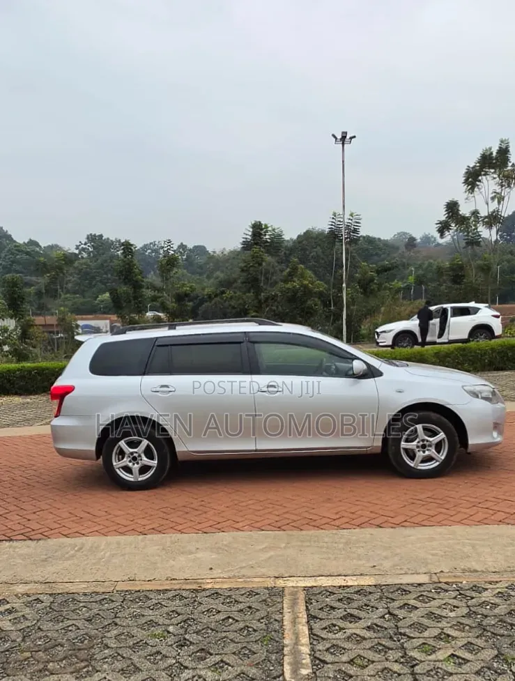 Toyota Corolla Fielder 2010 Silver