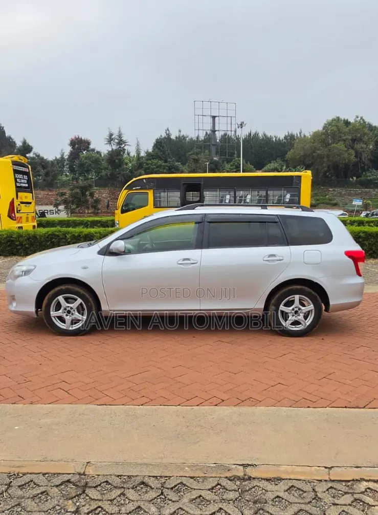 Toyota Corolla Fielder 2010 Silver