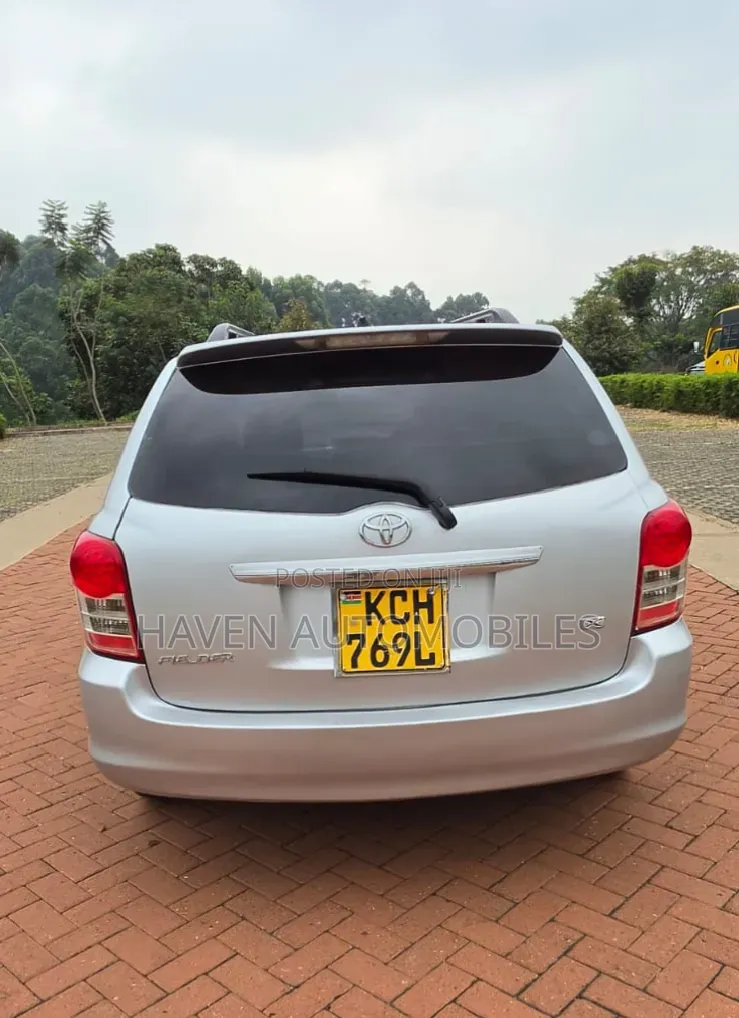 Toyota Corolla Fielder 2010 Silver