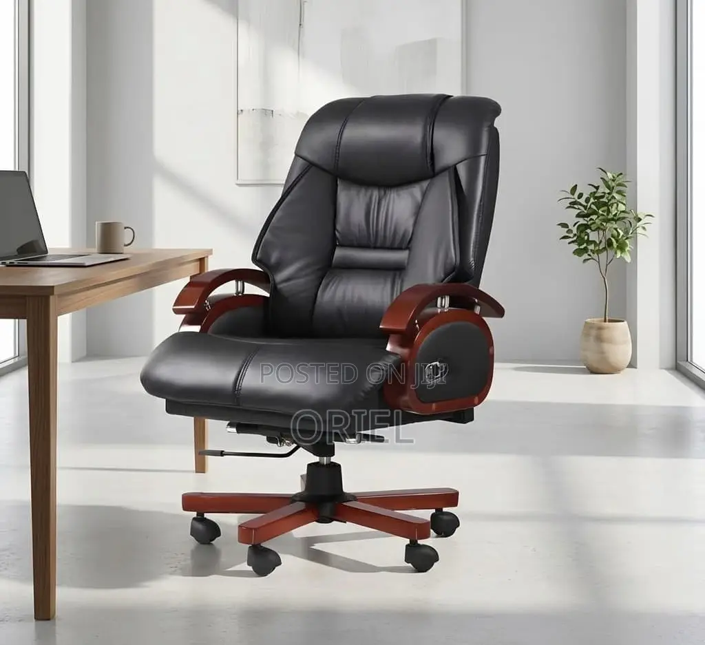 Office Chair : Executive Office Director Seat