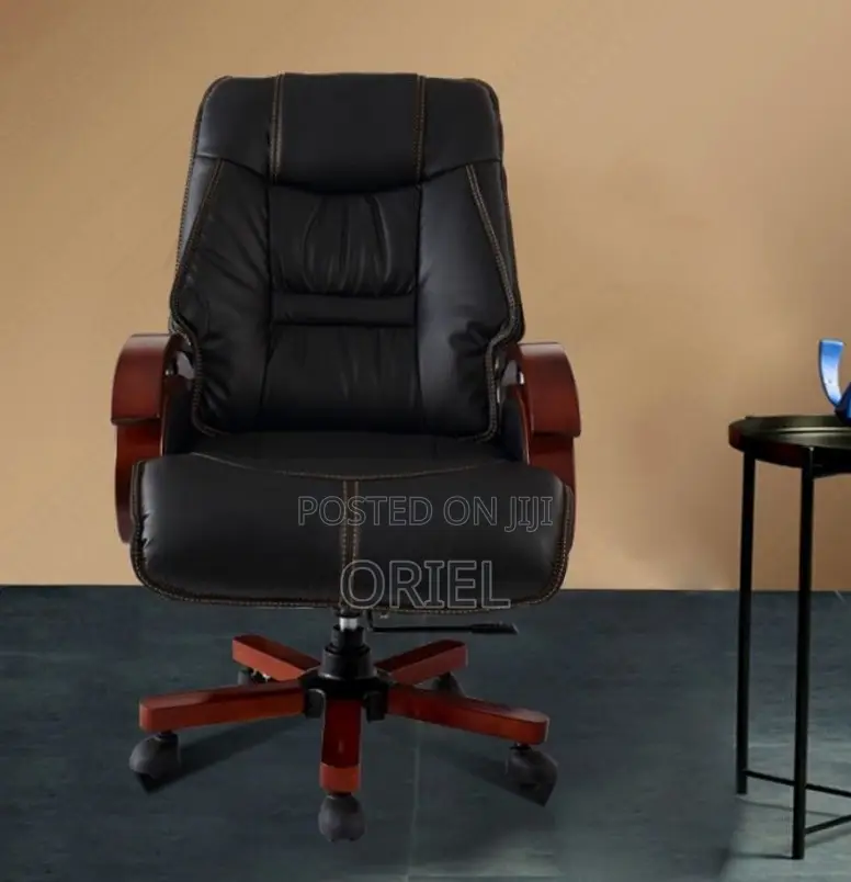 Office Chair : Executive Office Director Seat