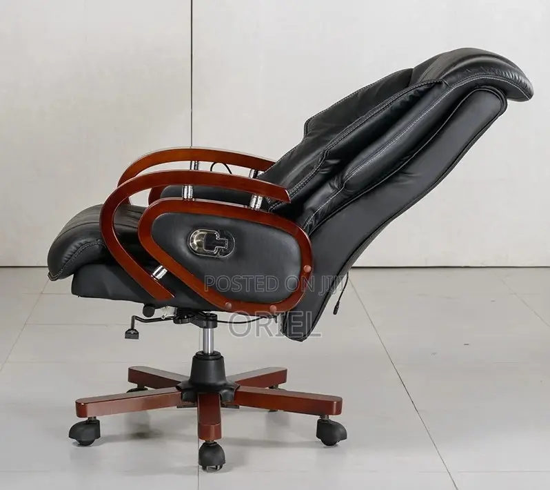 Office Chair : Executive Office Director Seat