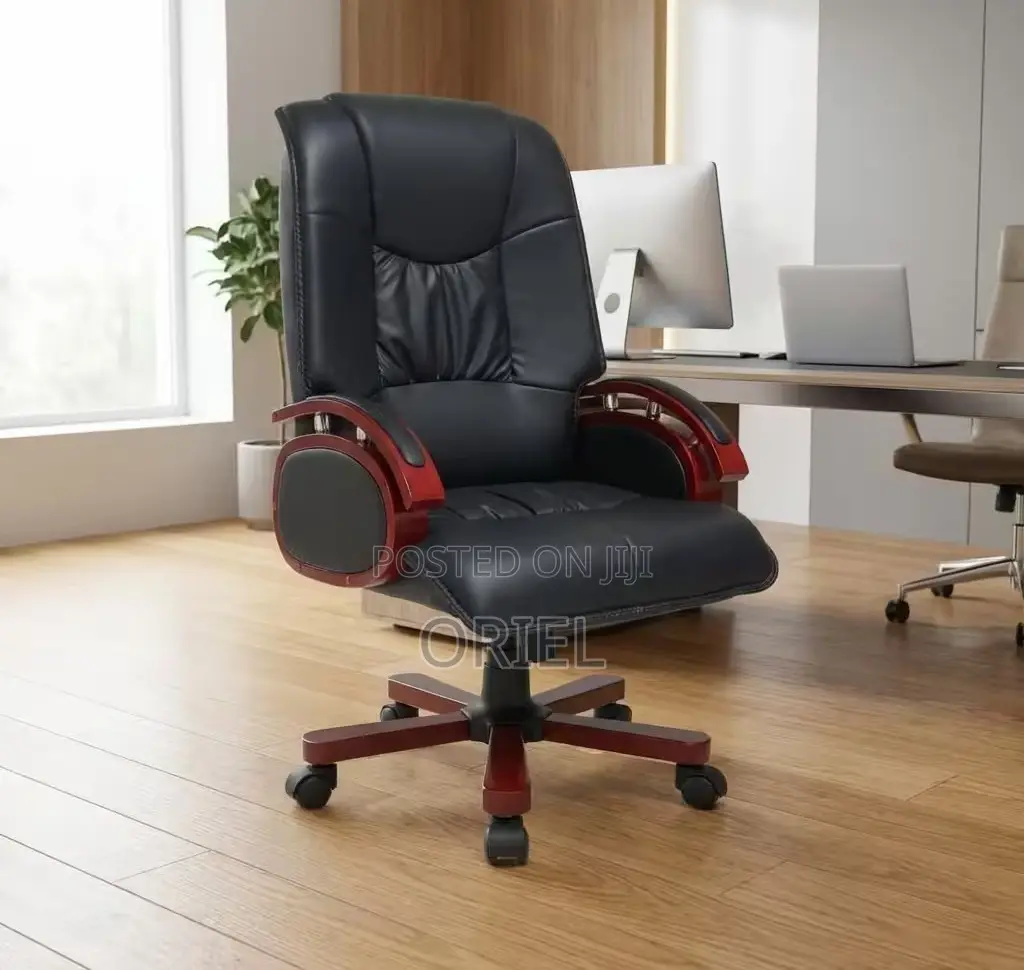 Office Chair : Executive Office Director Seat