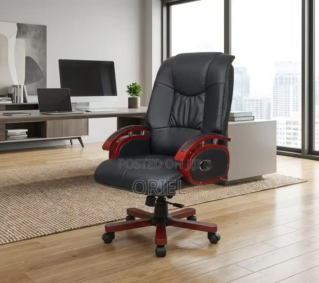 Office Chair : Executive Office Director Seat