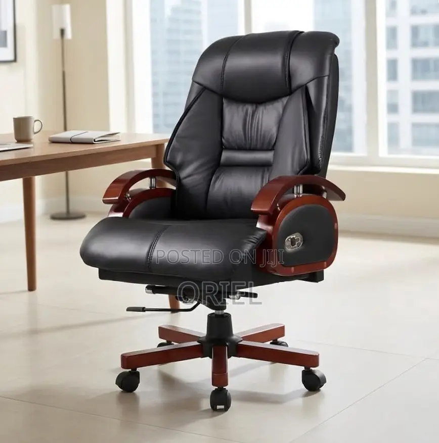 Office Chair : Executive Office Director Seat