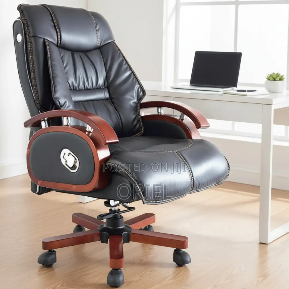 Office Chair : Executive Office Director Seat