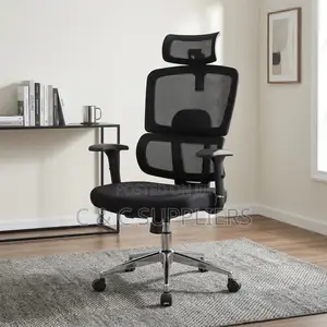 High Back Mesh Home Task Chair.