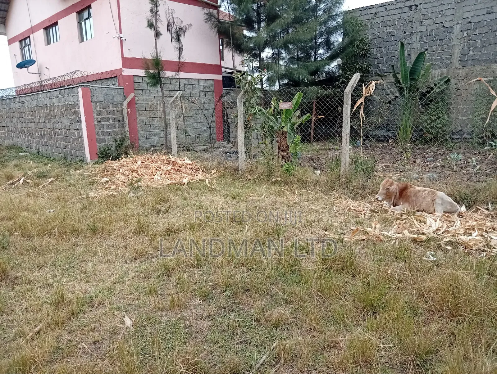Prime Plot for Sale – Ruiru Kamakis
