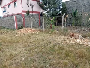 Prime Plot for Sale – Ruiru Kamakis