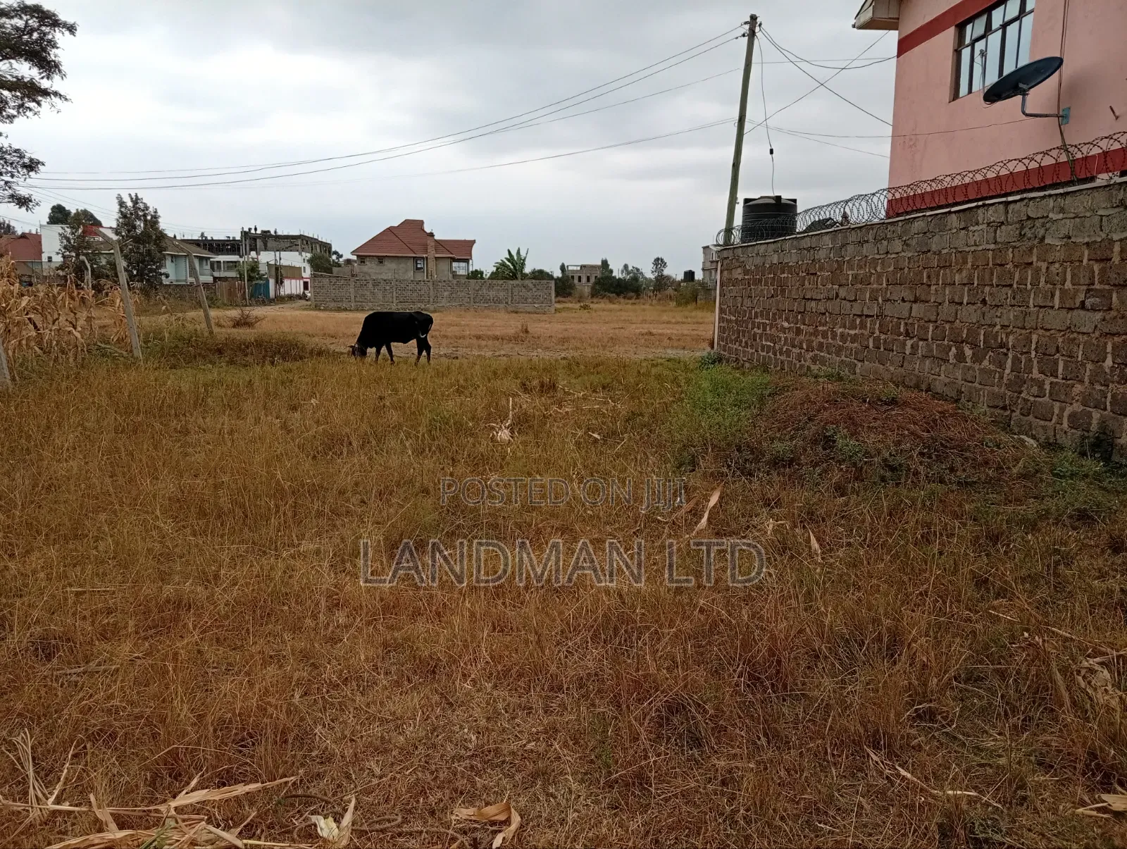 Prime Plot for Sale – Ruiru Kamakis