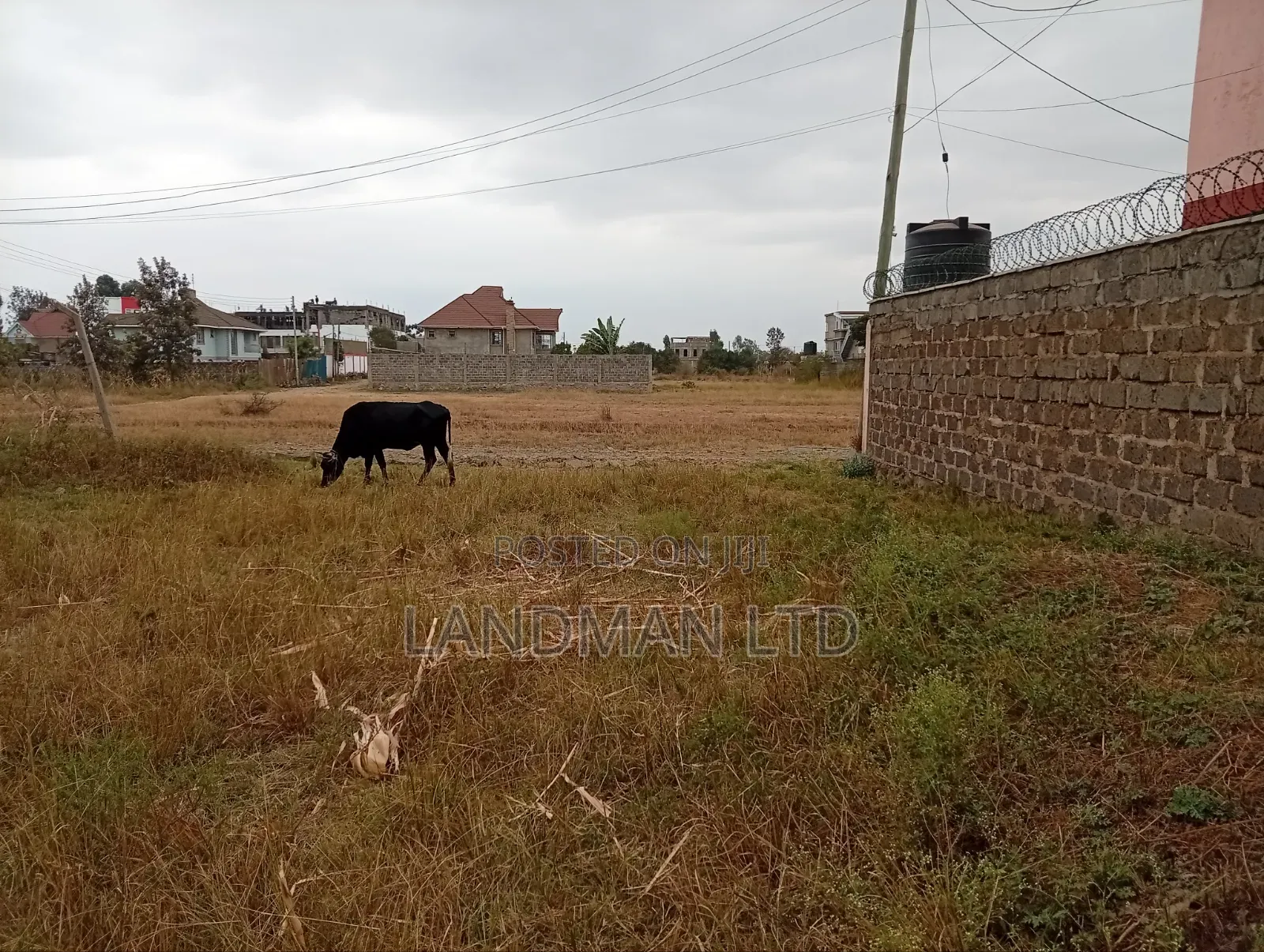 Prime Plot for Sale – Ruiru Kamakis