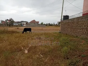 Prime Plot for Sale – Ruiru Kamakis