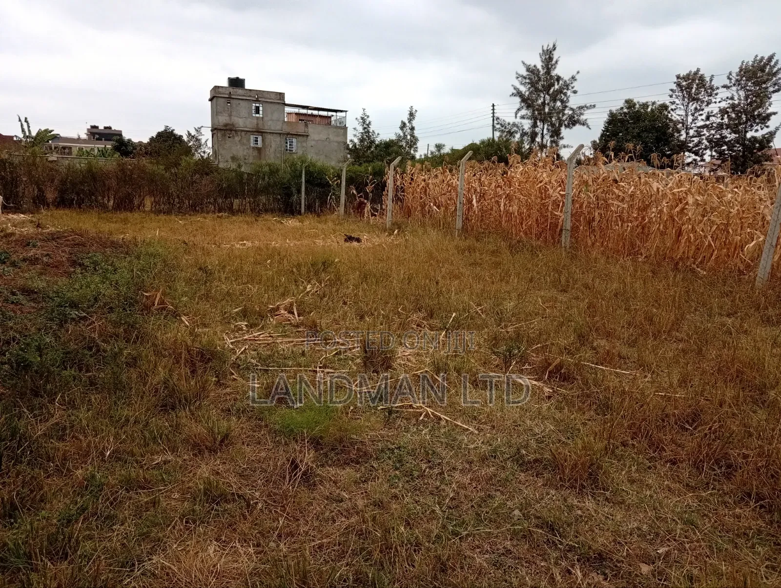 Prime Plot for Sale – Ruiru Kamakis