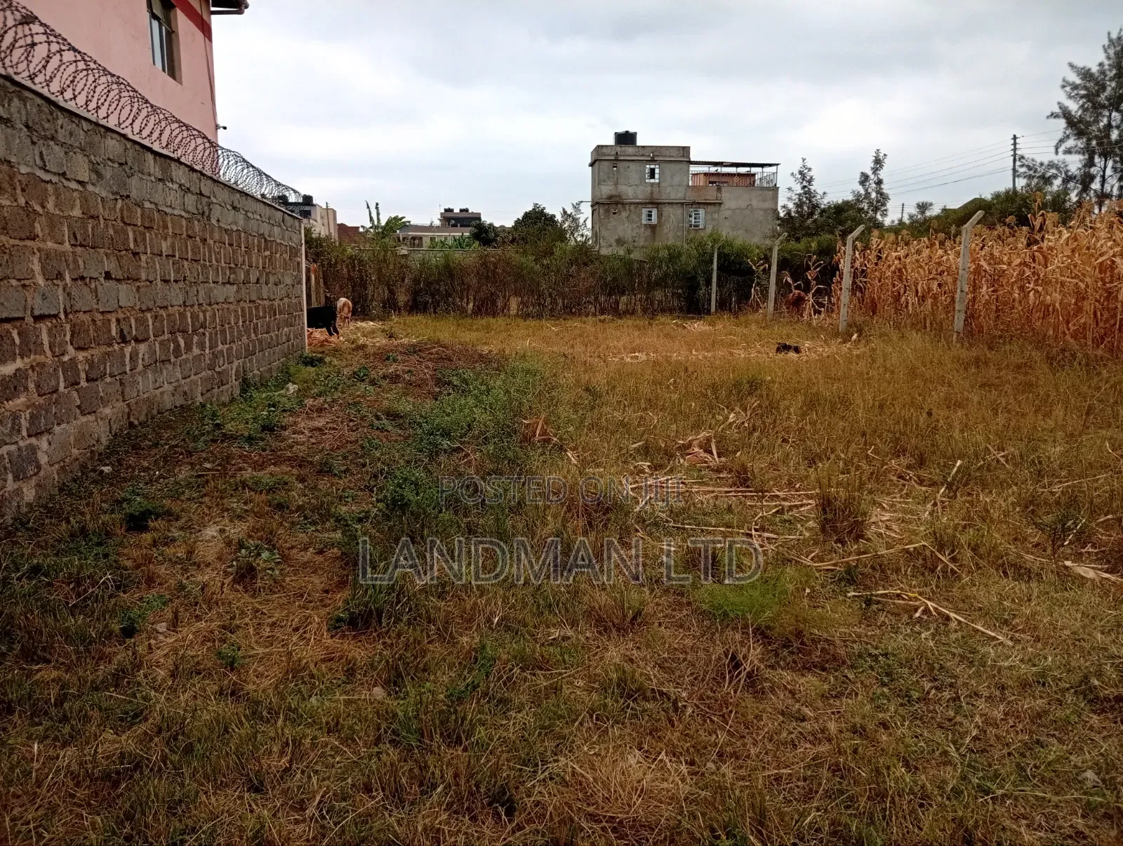 Prime Plot for Sale – Ruiru Kamakis