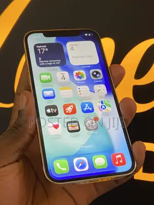 Apple iPhone 12 Pro 256 GB Silver