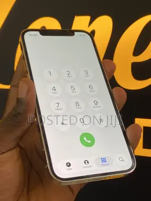 Apple iPhone 12 Pro 256 GB Silver