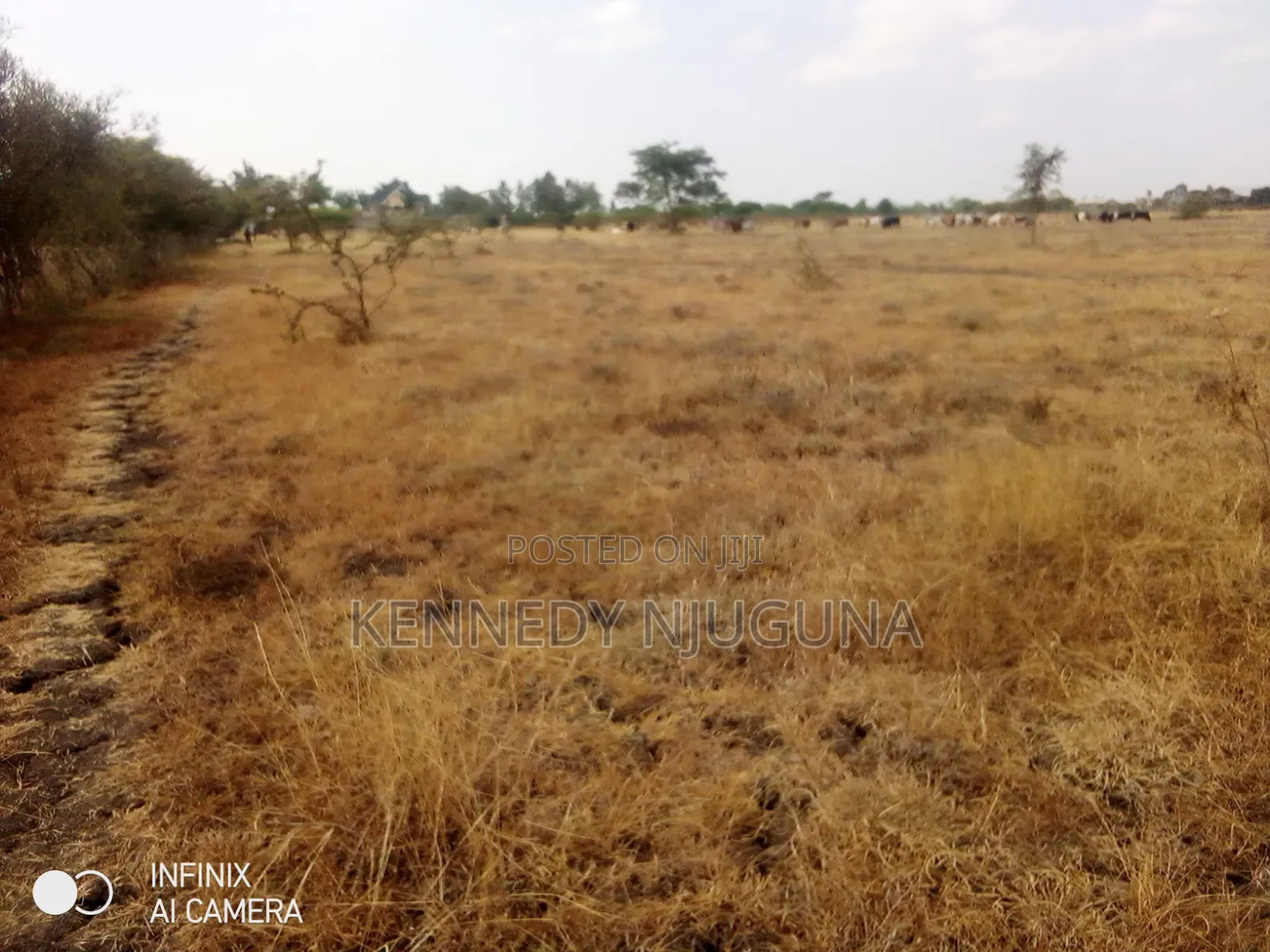Imara Gardens Rumuruti