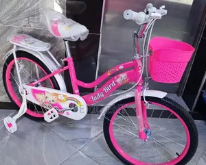 Assembled Kids Bicycle