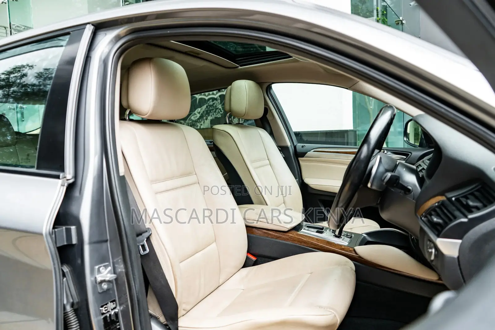 BMW X6 xDrive30d 2011 Gray