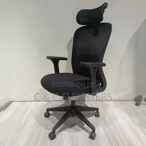 Ergonomic Home Office High Back Chair