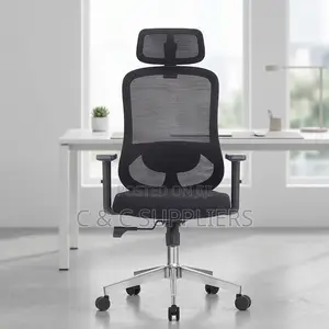 Ergonomic Home Office High Back Chair
