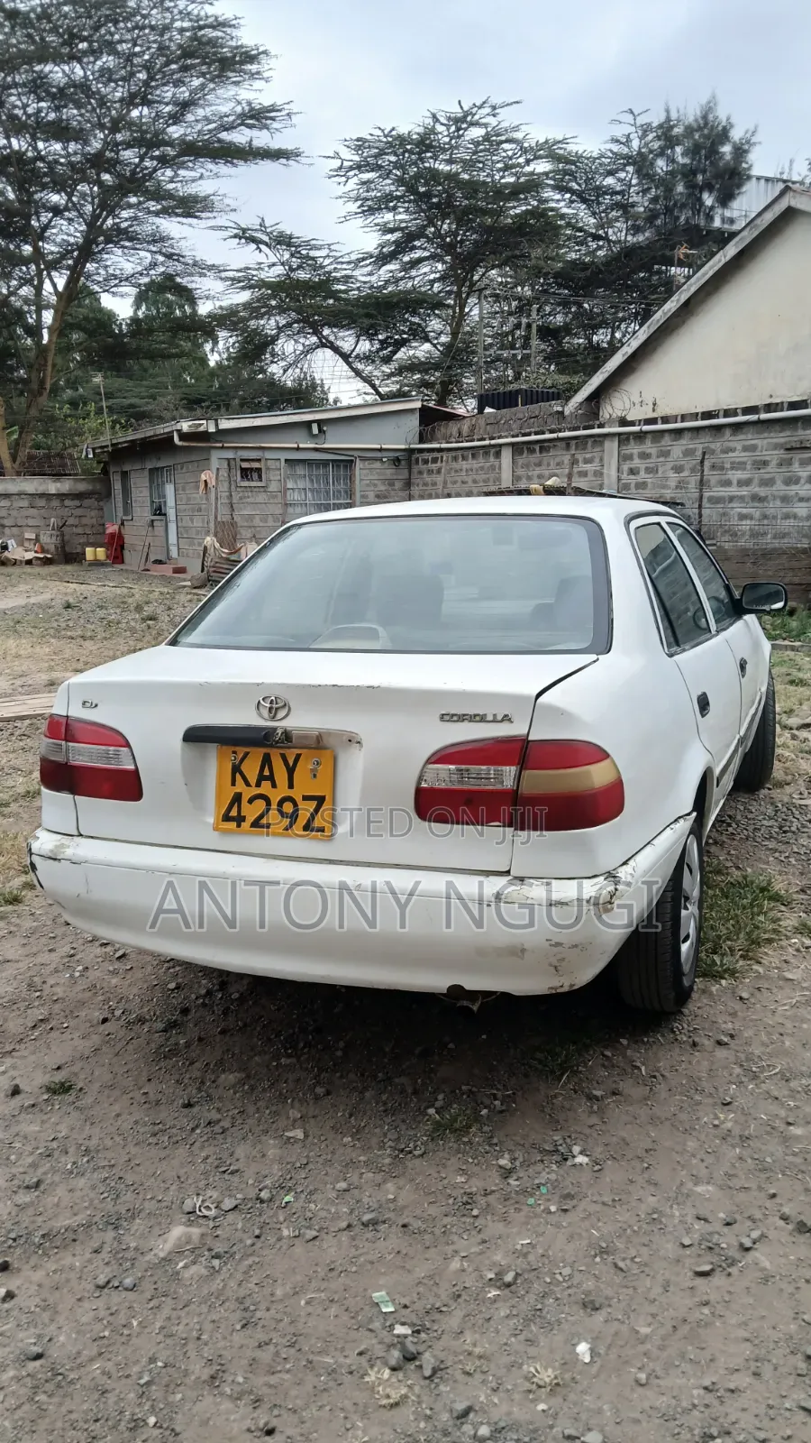 Toyota Corolla 2000 White