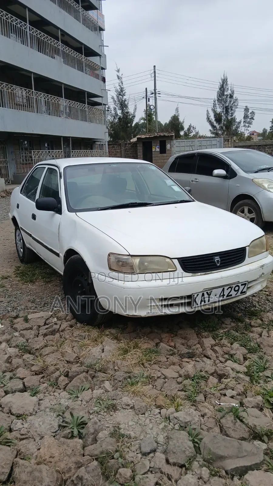 Toyota Corolla 2000 White
