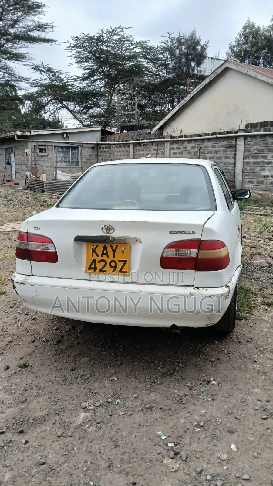 Toyota Corolla 2000 White