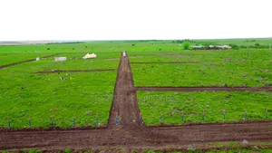 Nanyuki Plots on Sale