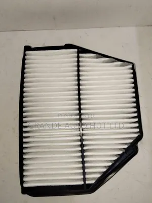 Air Filter Chevrolet Captiva 2008
