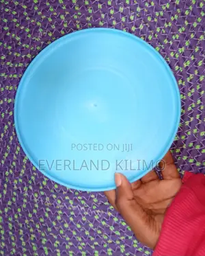 Frisbee - Color