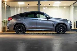 BMW X6 xDrive35i Coupe 4x4 (3.0L 6cyl 8A) 2016 Gray
