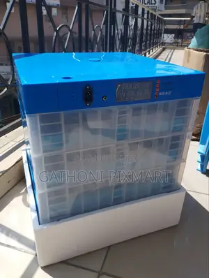 256 Capacity Automatic Chicken Egg Incubator Digital Display