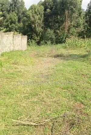 50 by 100 Plot for Sale