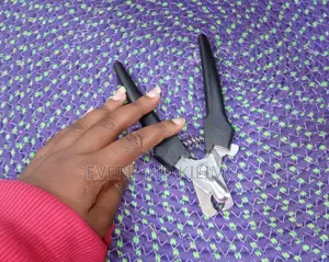 Professional Dog Clipper