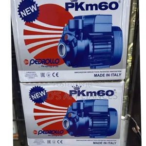 0.5 Pedrolla Water Pump