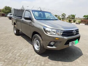 Toyota Hilux 2022 Brown