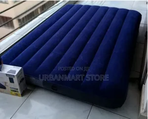Portable Intex Inflatable Mattress 4 by 6, Free Electric Pump