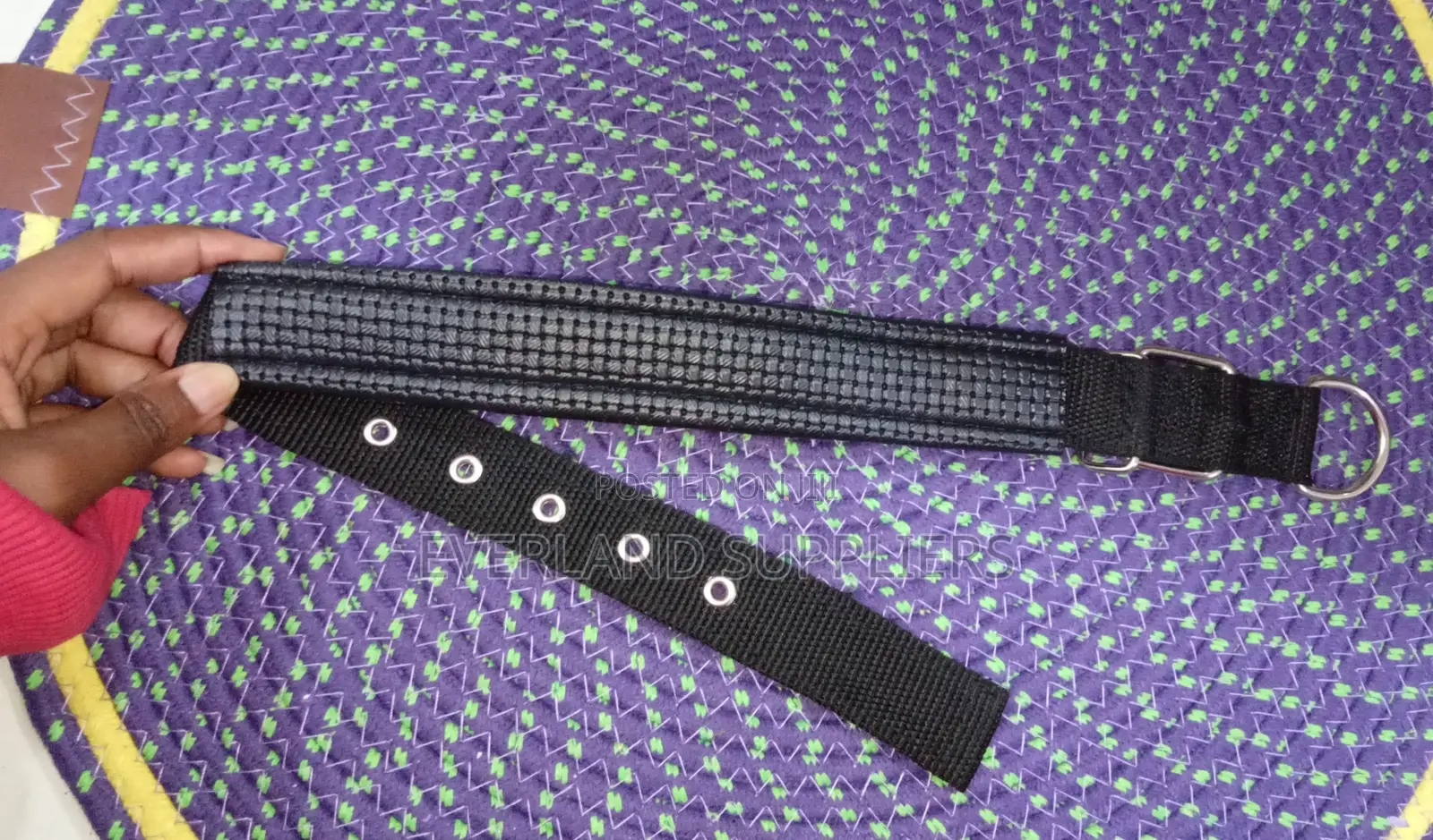 Black Collar for Medium Dogs to Small Dogs