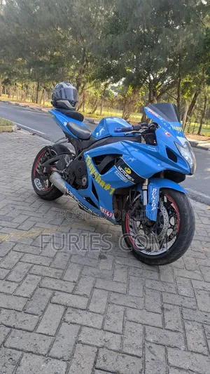 Suzuki GSX-R 2007 Blue