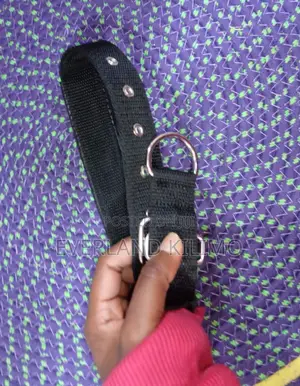 Adjustable Dog Collar - Black
